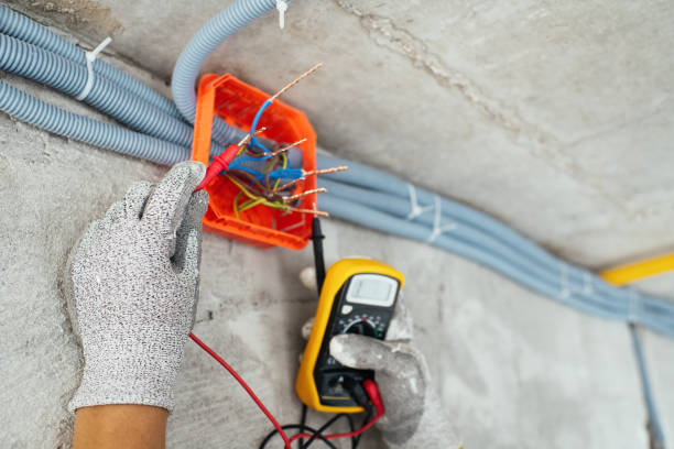 Best Electric Panel Repair  in Daniels, WV